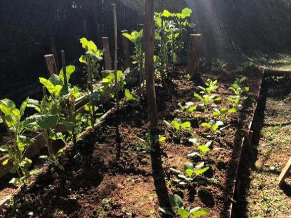 Pousada Cores e Flores da Serra